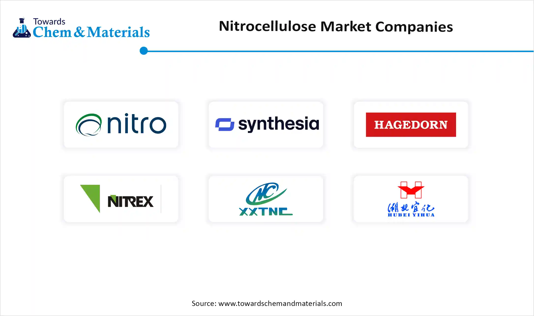 Nitrocellulose Market Companies