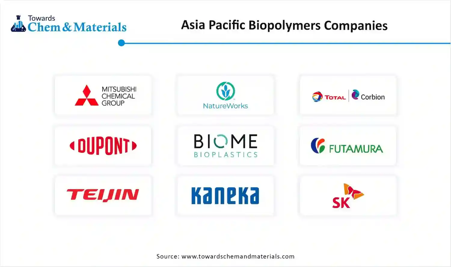 Asia Pacific Biopolymers Market Companies