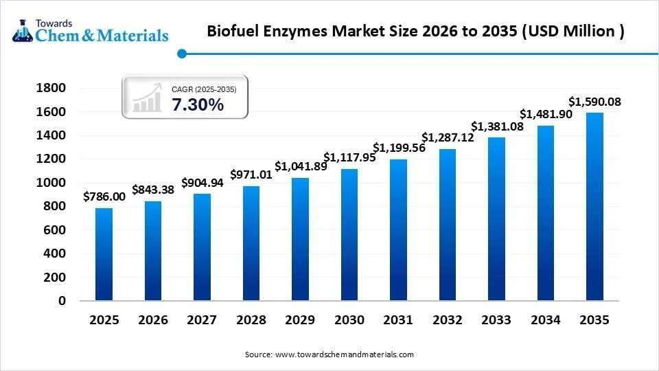 Biofuel Enzymes Market Size 2026 to 2035 (USD Million ) Biofuel Enzymes Market Size 2026 to 2035 (USD Million )