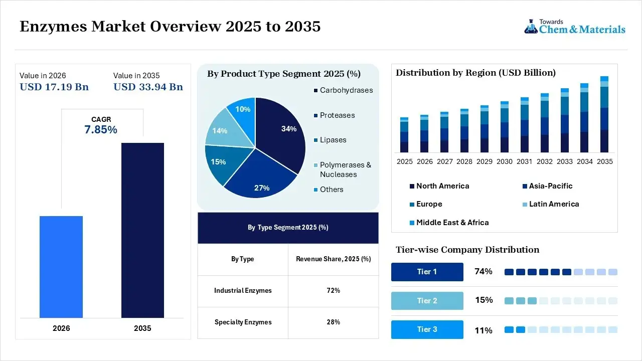 Enzymes Market Overview Enzymes Market Overview