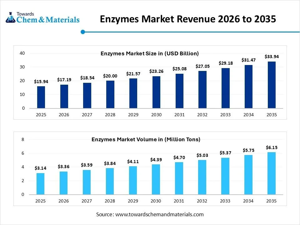 Enzymes Market Revenue 2026 to 2035 Enzymes Market Revenue 2026 to 2035