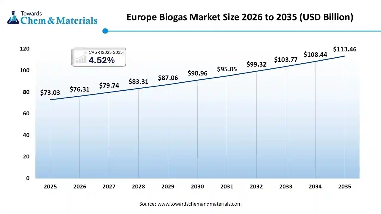 Europe Biogas Market Size 2026 to 2035 (USD Billion)