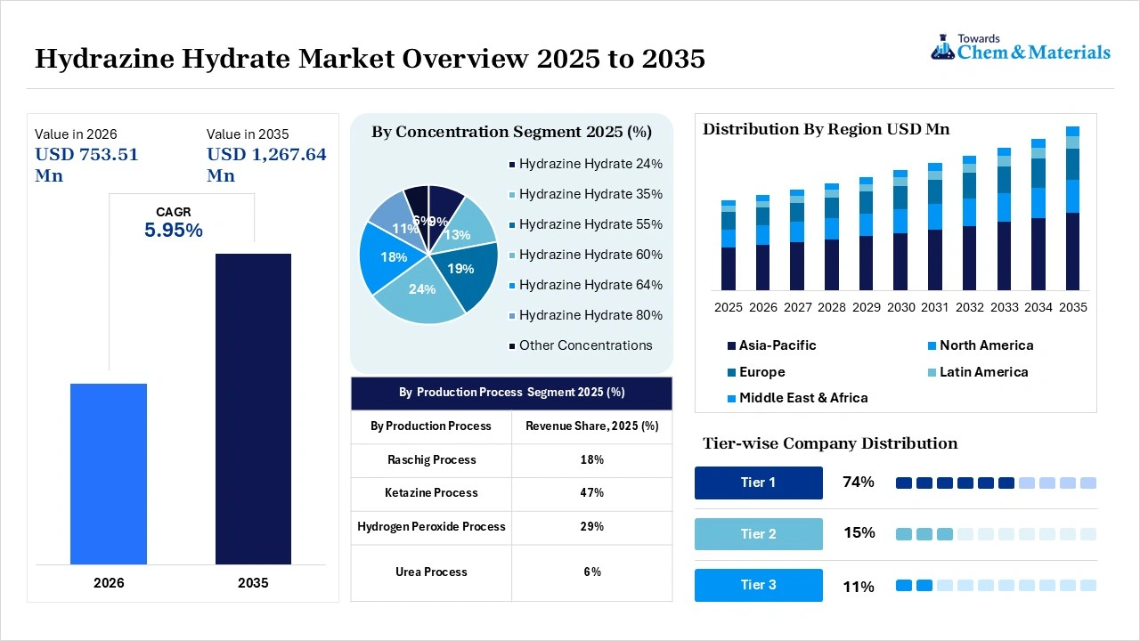 Hydrazine Hydrate Market Overview