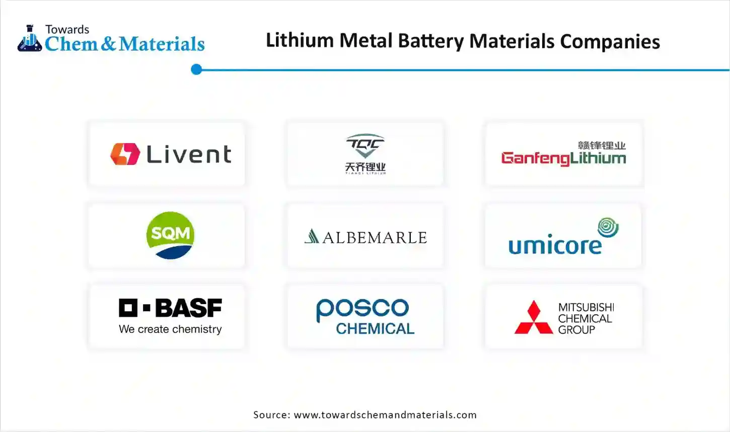 Lithium Metal Battery Materials Market Companies