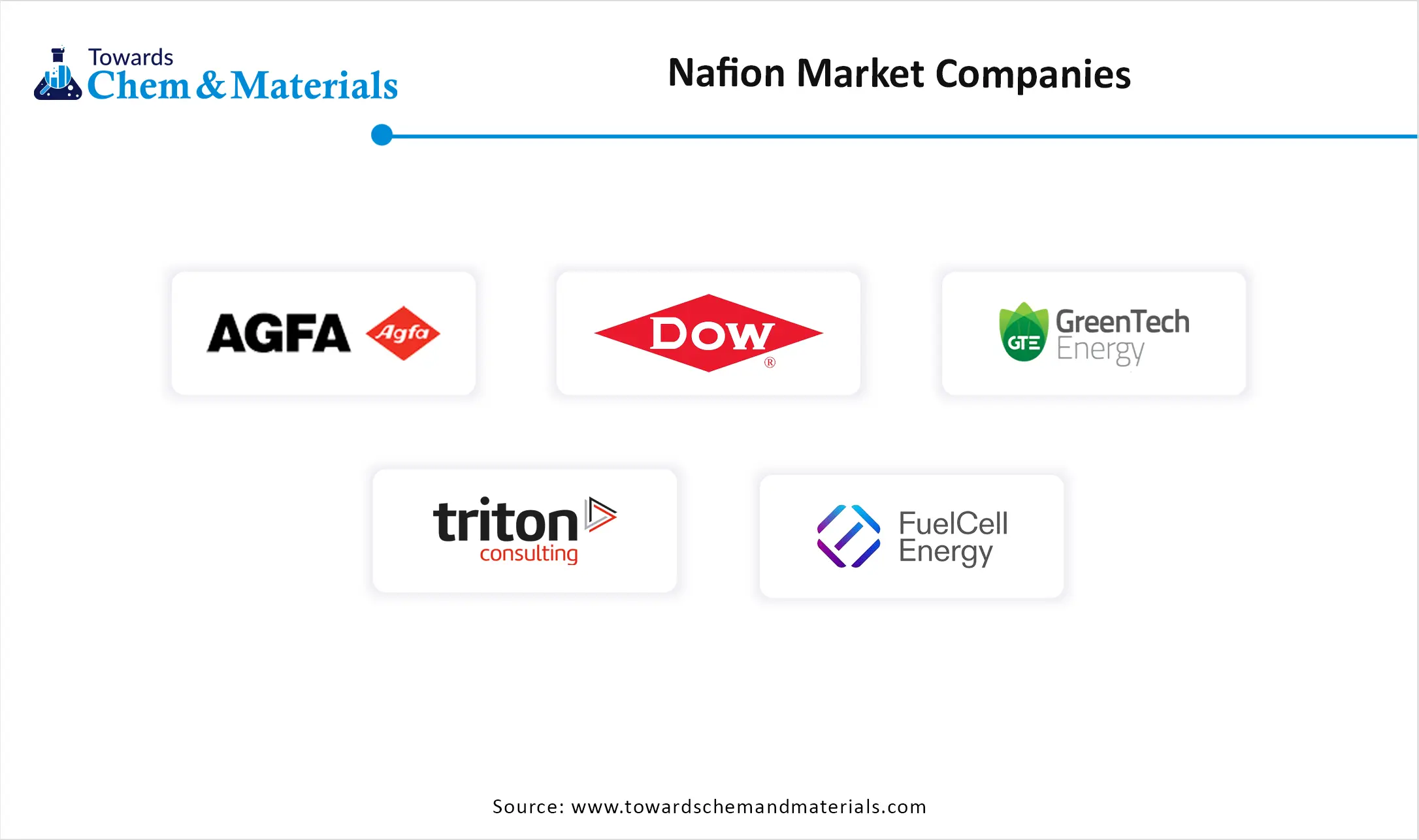 Nafion Market  Companies
