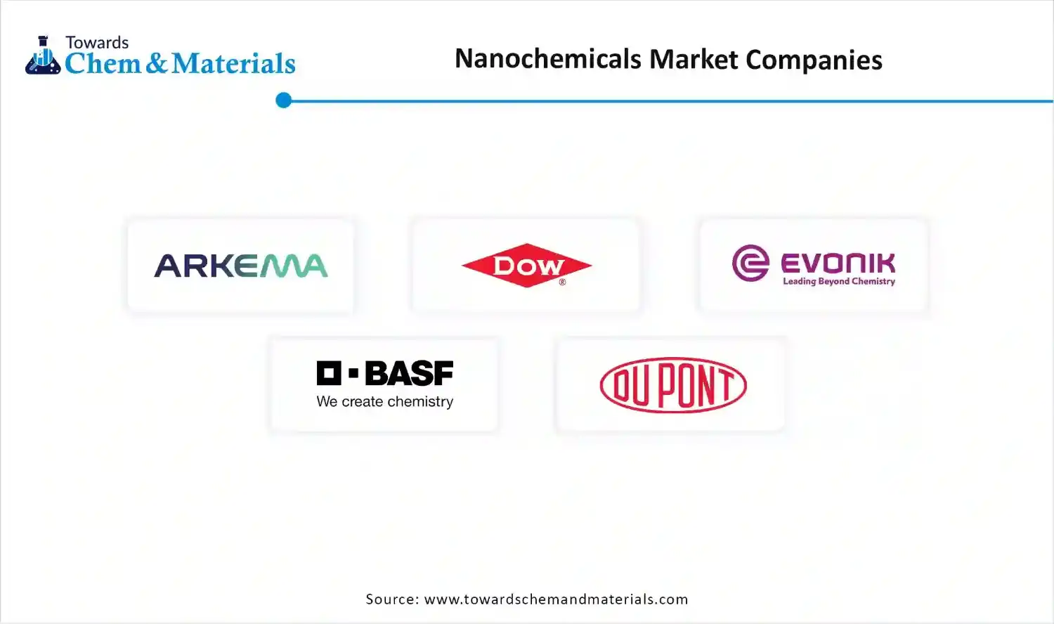 Nanochemicals Market Companies Nanochemicals Market Companies