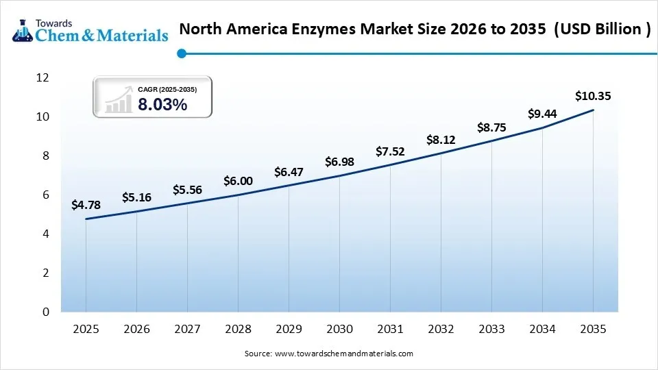 North America Enzymes Market 2026 to 2035 (USD Billion) North America Enzymes Market 2026 to 2035 (USD Billion)