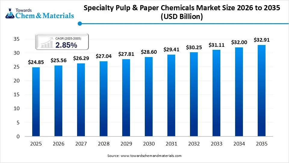 Specialty Pulp & Paper Chemicals Market Size