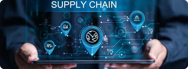 Supply Chain Dynamics